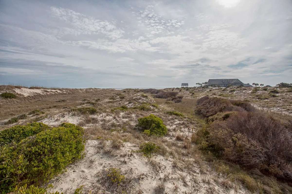 Sweeping dunes covered in native vegetation stretch towards a distant structure, with open skies creating a sense of freedom and wildness. The landscape is ideal for sunset walks, wildlife spotting, and peaceful moments in nature.